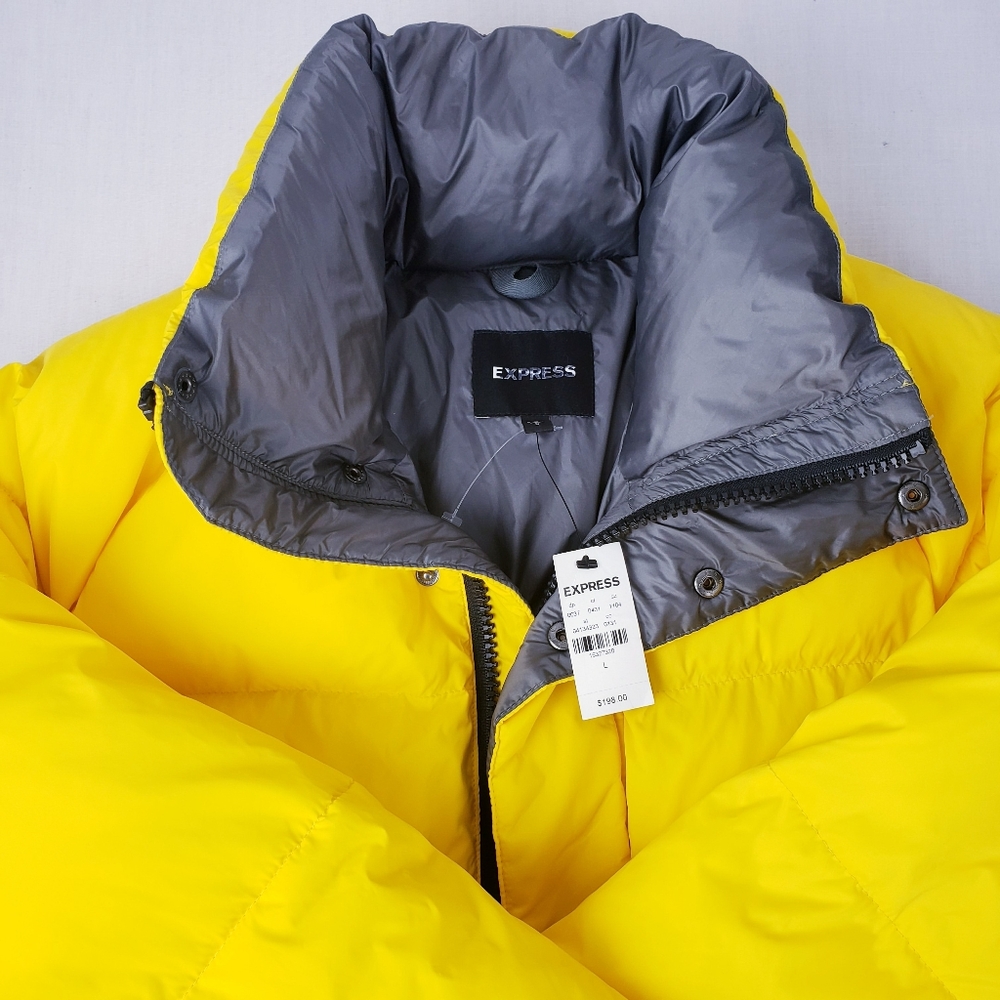 Express Winter Jacket - Picture 3 of 5